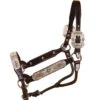 Tory Leather Blue Bonnet Congress Halter And Lead -Equestrian Supplies Store 125bluebonnetcongress 65299 23251.1527308810