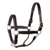 Perri's Padded Leather Halter -Equestrian Supplies Store 190 blk black ss l 36512 32306.1527306333