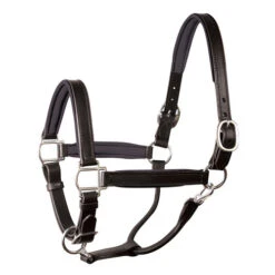 Perri's Padded Leather Halter