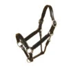 Tory Padded Leather Halter With Nickel Hardware -Equestrian Supplies Store 196 ni7e1 38643 22276.1527305564