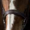 Pessoa PRO Fancy Stitched Wide Bridle -Equestrian Supplies Store 470461 pessoa pro wide fs bridle dk brown nose 51477.1586553021