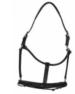 HDR Pony Fancy Padded Leather Halter -Equestrian Supplies Store 5019halterblack 80901 35602.1618602106
