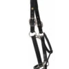 HDR Pony Fancy Padded Leather Halter -Equestrian Supplies Store 5019halterblackside 22829 81250.1618602103