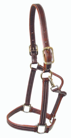 Mary's British Leather Halter With Solid Brass Hardware 10 Mary's British Leather Halter With Solid Brass Hardware -Equestrian Supplies Store 5100britishhaltercopy 85659 13800.1685668117