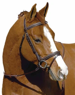 HDR Pro Monocrown Plain Raised Flash Bridle 12 HDR Pro Monocrown Plain Raised Flash Bridle -Equestrian Supplies Store 5106 hdr pro monocrown flash bridle 61526.1546553105