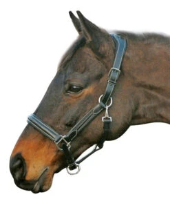 HDR Stress-Free Shaped Crown Halter -Equestrian Supplies Store 5218 black 27864 26881.1527298209