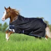 Horseware Ireland Pony Horseware Amigo Bravo 12 Original Rain Sheet -Equestrian Supplies Store AARA16 BBE0 RGB 69830.1675109360
