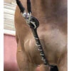 Jump'in Patrick Training Aid -Equestrian Supplies Store Patrick Training Aid havana strap rings jumpin 56451.1645560084