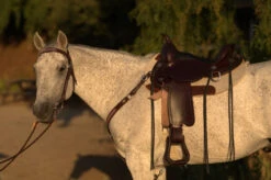 Circle Y Salt River Flex2 Trail Saddle 1667 -Equestrian Supplies Store Salt River Left Profile on a horse 71261.1600203852