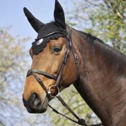 In Horse We Trust Bridle Evolution -Equestrian Supplies Store Soft T 4 Evolution on Horse ANGLE 13975.1589307265