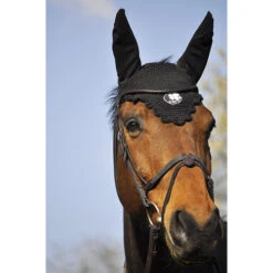 In Horse We Trust Bridle Evolution -Equestrian Supplies Store Soft T Evolution on Horse FRONT 75545.1589307280