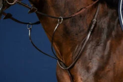 Dy'on Running Martingale -Equestrian Supplies Store US07g martingale a anneaux brun full us collection 2 24947.1676323008