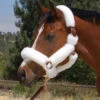 Mary's Walsh Shipping Halter With Solid Brass Hardware -Equestrian Supplies Store aaaaaaaaid 56803 65100.1638732787