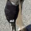 Ice Horse Hock Wrap With Inserts - SINGLE -Equestrian Supplies Store aaaaaaaebi 66060 42282.1582575101