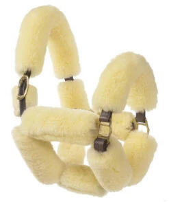 Ovation Sheepskin Pony Shipping Halter 9 Ovation Sheepskin Pony Shipping Halter -Equestrian Supplies Store aaaaaaaerk 03486 25746.1527309291