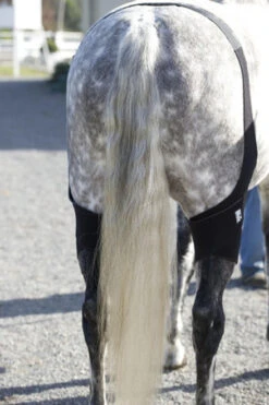 Ice Horse Stifle Wrap -Equestrian Supplies Store aaaaaaaowyimage1 64645 48440.1595626958