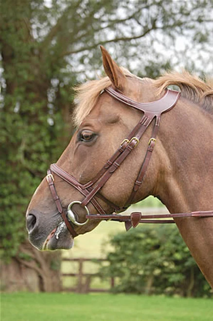 Dy'on Difference Flash Bridle 4 Dy'on Difference Flash Bridle - Image 2