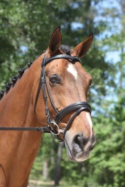 KL Select Italia Pirouette Snaffle Bridle