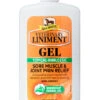 Absorbine Veterinary Liniment Gel - 12 Oz -Equestrian Supplies Store absorbine veterinary liniment 12oz gel 62266 87318.1558901393