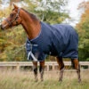 Horseware Ireland Horseware Amigo Bravo 12 Medium Turnout 250g -Equestrian Supplies Store amigo bravo 12 250g blue 1 aara42 bcskHW 76830.1675370525