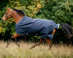 Horseware Ireland Horseware Amigo Bravo 12 Medium Turnout 250g -Equestrian Supplies Store amigo bravo 12 250g blue side aara42 bcskHW 17953.1675370389