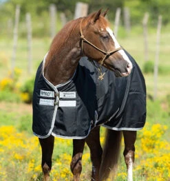 Horseware Ireland Rambo Amigo Stock Horse Rain Sheet