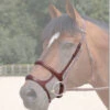 Dy'on Double Noseband -Equestrian Supplies Store b6117 60041 71485.1527288351