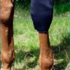 Back On Track Knee Boots -Equestrian Supplies Store back on track ceramic knee boots 1 14393 69663.1587775496