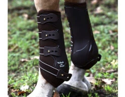 Back On Track Royal Work Boots -Equestrian Supplies Store back on track flatwork boots on horse 07159.1543008250