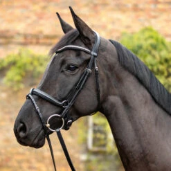 Passier Balance Snaffle Bridle -Equestrian Supplies Store balance snaffle black lifestyle 831 passier 42603.1665086485