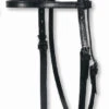 Circle Y Stitched Basic Brow Headstall 1 Circle Y Stitched Basic Brow Headstall -Equestrian Supplies Store basic stitched brow headstall black 0125 circle y 58733.1600200895