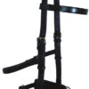 Bobby's English Tack Leather Lunge Caveson -Equestrian Supplies Store betleatherlungecaveson138 71468 27177.1527292278