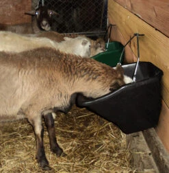 Little Giant 20 Quart Better Bucket -Equestrian Supplies Store better bucket 20qt black goat BB20BLACK little giant 69563.1677811936