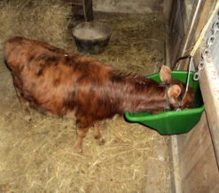 Little Giant 20 Quart Better Bucket -Equestrian Supplies Store better bucket 20qt green goat BB20GREEN little giant 71125.1677811943