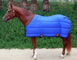 Big D Kodiak Stable Blanket -Equestrian Supplies Store big d kodiak stable blanket royal 40392.1649964250