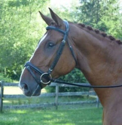 Black Oak Juniper Snaffle Bridle -Equestrian Supplies Store black oak juniper bridle side 03583.1541199609