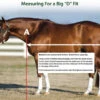 Big D Kodiak Stable Blanket -Equestrian Supplies Store blanket measure guide big d 69227.1657562980