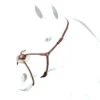 Equipe Elastic Figure 8 Noseband -Equestrian Supplies Store br49fig8grakle 49598 58258.1527304606