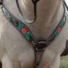 Circle Y Cactus Flower Breast Collar -Equestrian Supplies Store cactus flower breast collar horse 1000 23 SC circle y 73083.1613591811