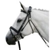 Waldhausen Chambon 2 Waldhausen Chambon -Equestrian Supplies Store chambon black 140400 waldhausen 55986.1643844828
