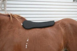 Circle Y Long Shoulder Bridge Pad 3/4" Or 1" -Equestrian Supplies Store circle y long shoulder bridge pad 3 4 or 1 3 95277.1530647799
