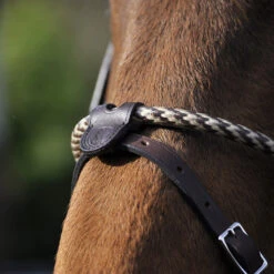 In Horse We Trust Coated Rope Noseband -Equestrian Supplies Store coated rope noseband havana flash horse ihwt 79428.1658786888