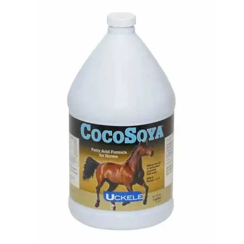 CocoSoya Oil 3 CocoSoya Oil