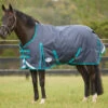 WeatherBeeta ComFiTec Plus Dynamic Standard Turnout -Equestrian Supplies Store comfitec dynamic plus medium black aqua crop 1006914025 weatherbeeta 85504.1662064432