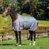 Pony WeatherBeeta ComFiTec Plus Dynamic Standard Turnout -Equestrian Supplies Store comfitec dynamic plus standard grey burgundy weatherbeeta 40212.1662064205