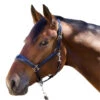 Halter Ego Copenhagen Navy Patent Halter -Equestrian Supplies Store copenhagen navy halter nv.pt navy halter ego 06211.1682705233