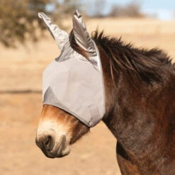 Cashel Crusader Fly Masks -Equestrian Supplies Store crusader fly mask mule ears CFMMSE cashel 35872.1658964877