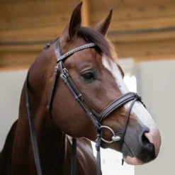 PÉNÉLOPE Pénélope Daily Snaffle Bridle 10 PÉNÉLOPE Pénélope Daily Snaffle Bridle -Equestrian Supplies Store daily snaffle havana side edit 301 602 318 penelope 16893.1688761003