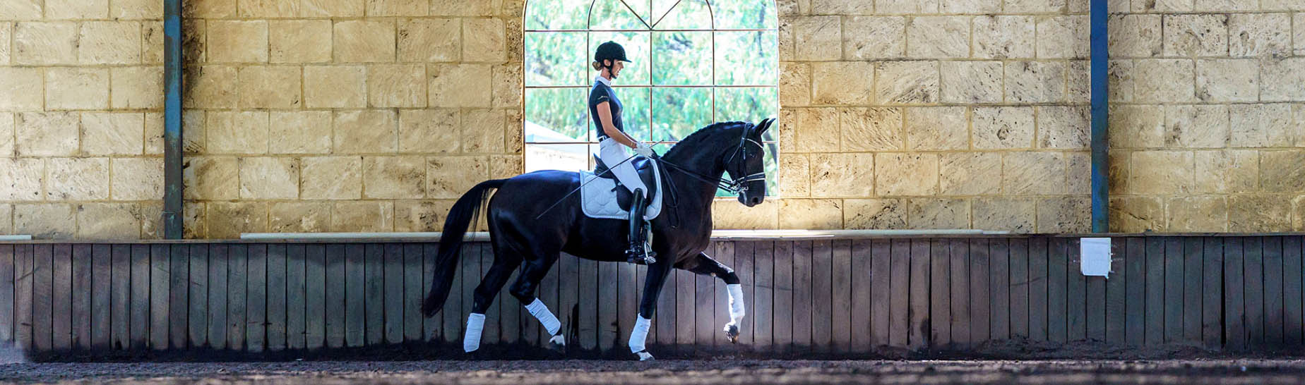 Equestrian Supplies Store -Equestrian Supplies Store dgdg