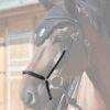 In Horse We Trust Drop Noseband 1 In Horse We Trust Drop Noseband -Equestrian Supplies Store drop noseband black detail DROP NOSEBAND in horse we trust 89434.1658866302